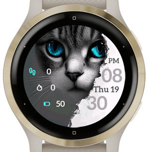 Gray Cat · Screenshot 3