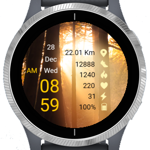 Forest 01 · Screenshot 4