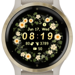 Daisy Ring · Screenshot 2