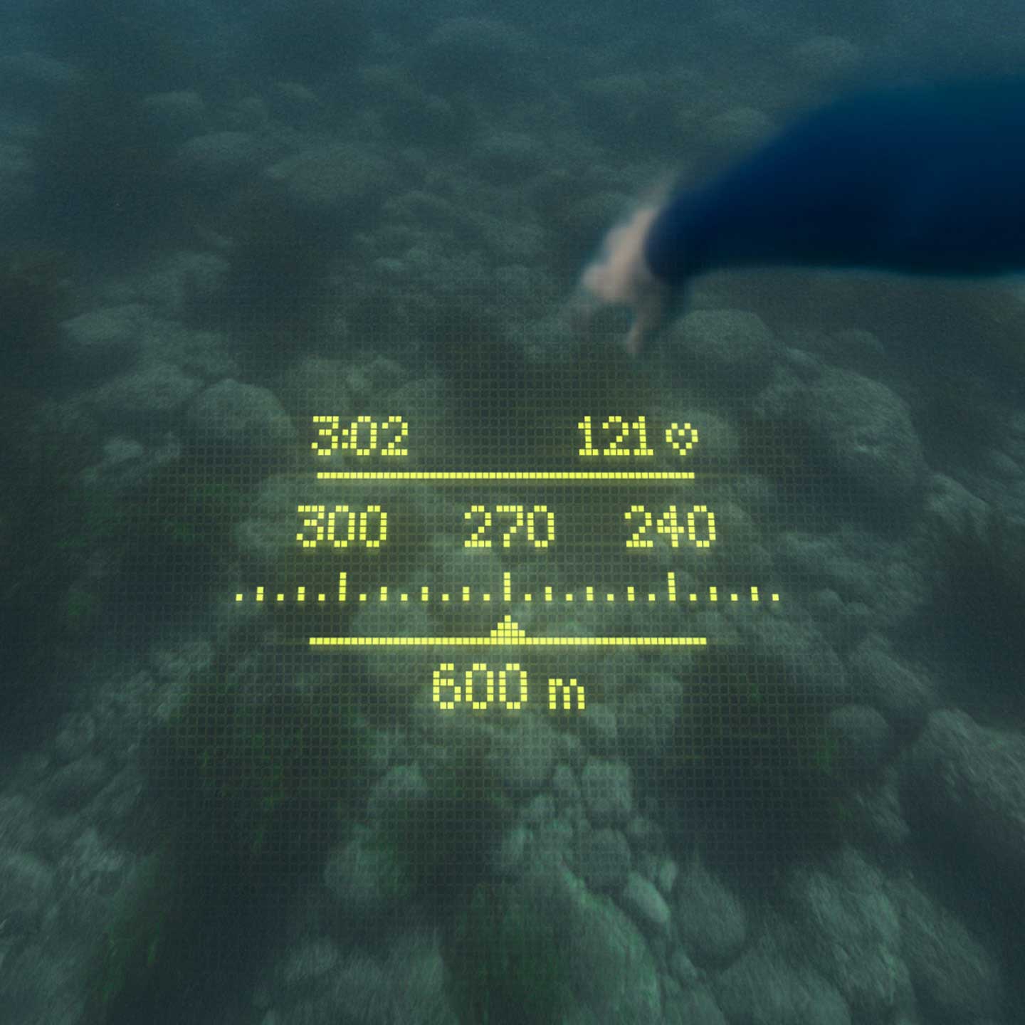 FORM Data Field screenshot 1