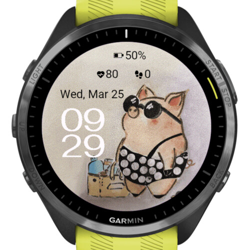 Summer Pig Style 4
