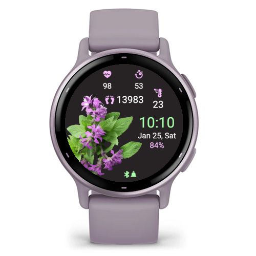 Catmint Flower · Screenshot 0