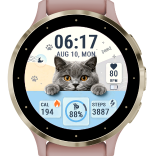 Paw Dashboard · Screenshot 2