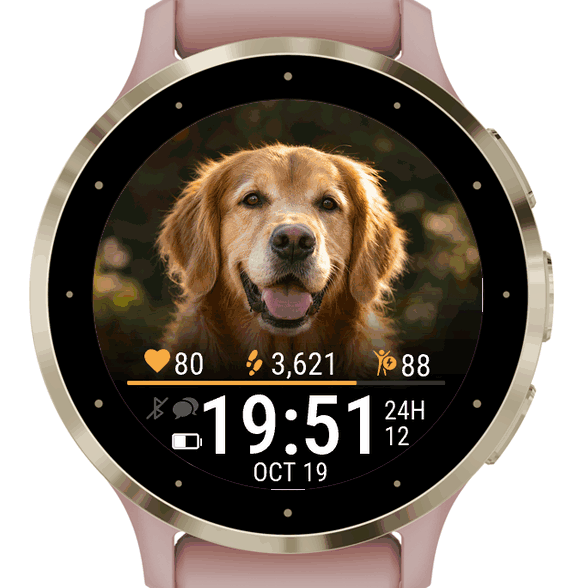 My Pet · Pawtrait · Screenshot 0