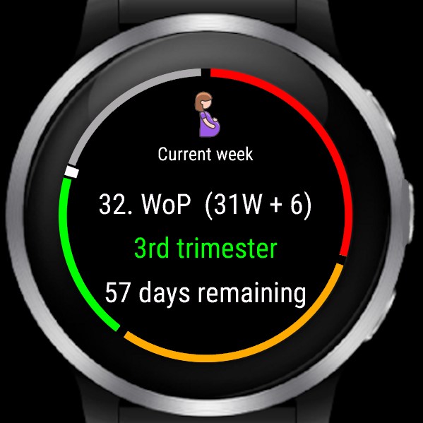 Pregnancy Widget · Screenshot 0