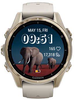 Gray Elephant · Screenshot 0