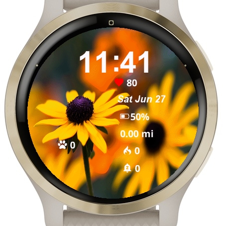 Close Up Some Yellow Flowers · Screenshot 0