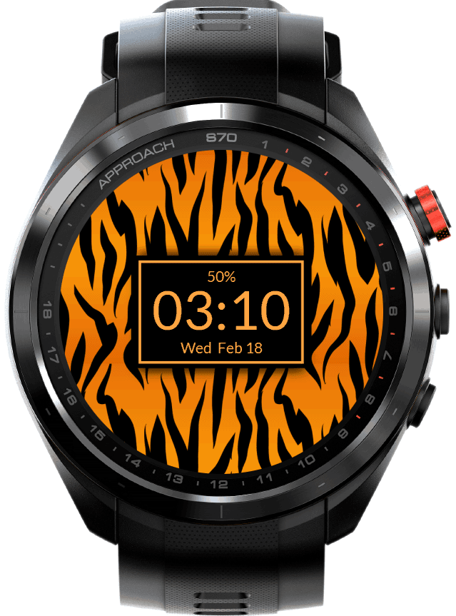Tiger Pattern 3
