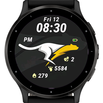 Swift Kangaroo · Screenshot 0