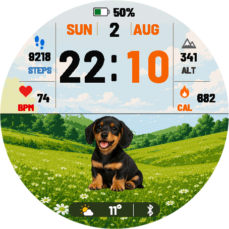 Dachshund · Screenshot 0