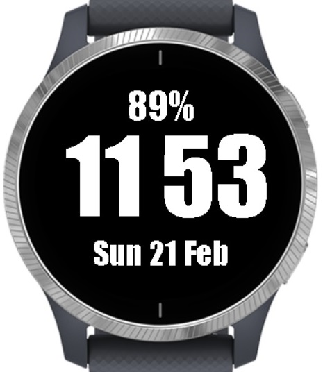 Garmin watch large face hotsell
