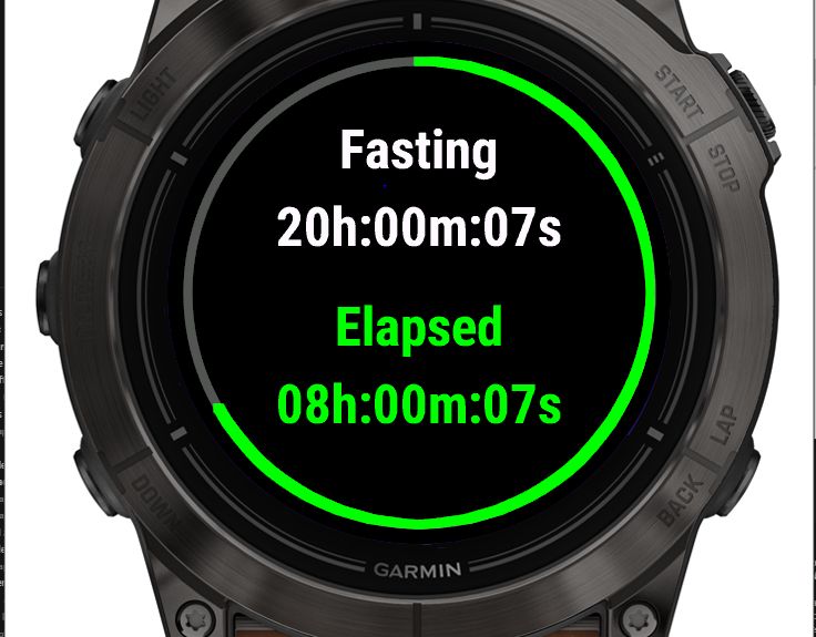 FastWarrior 2