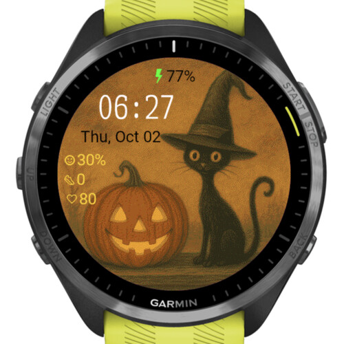 Witch Cat Pumpkin · Screenshot 1
