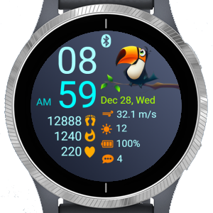 Bird - Toucan · Screenshot 4