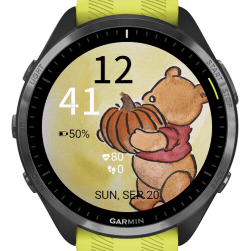 Pumpkin Autumn · Screenshot 2