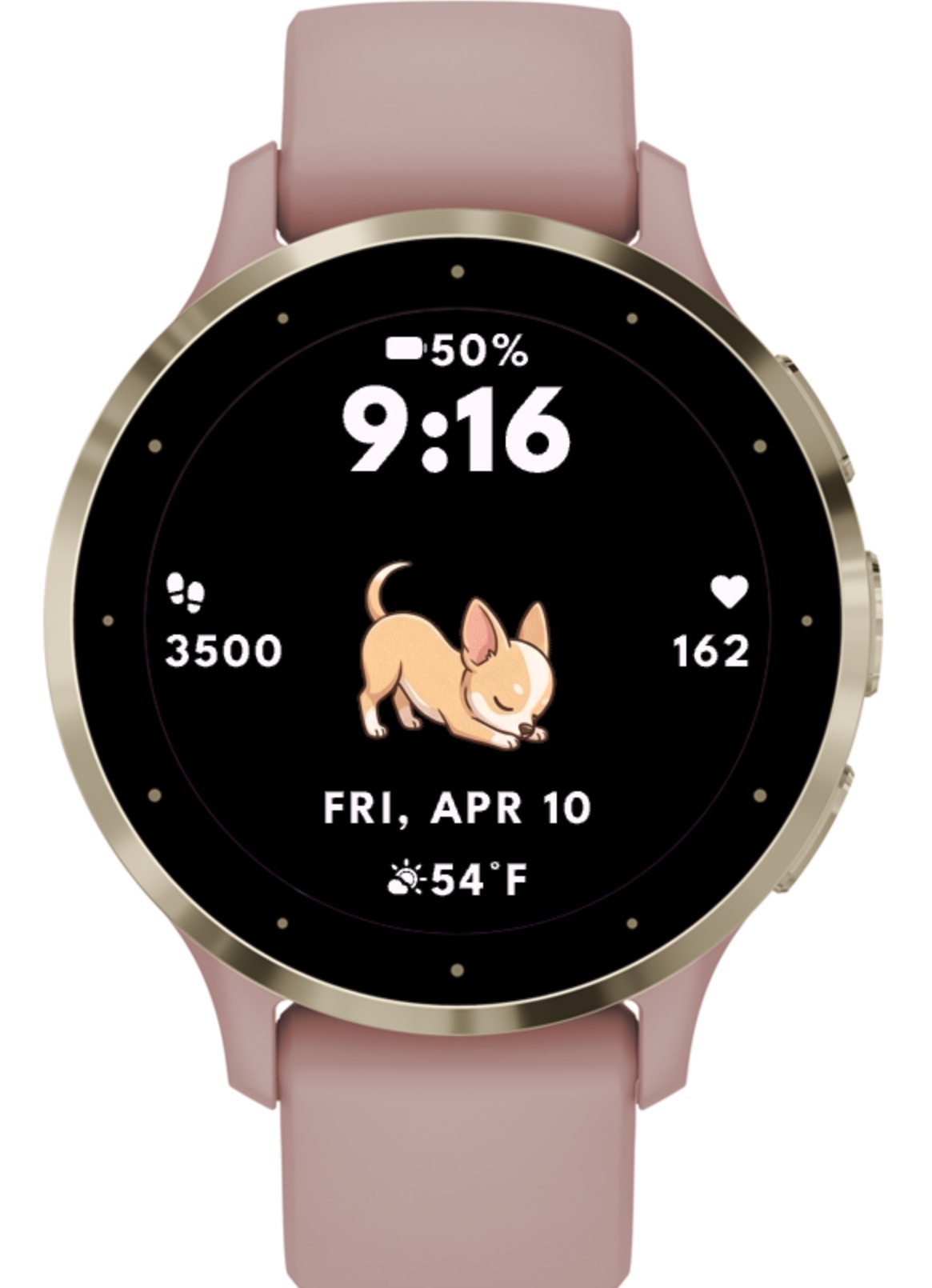 Chihuahua Dog - Animated · Screenshot 4