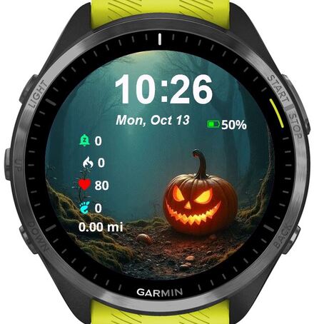 Happy Pumpkins · Screenshot 0