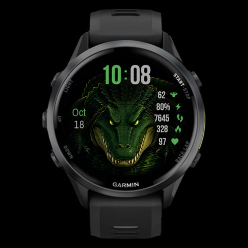 Shadow Gator · Screenshot 0