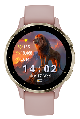 Lion Summit · Screenshot 2