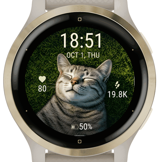 sleeping cat · Screenshot 2