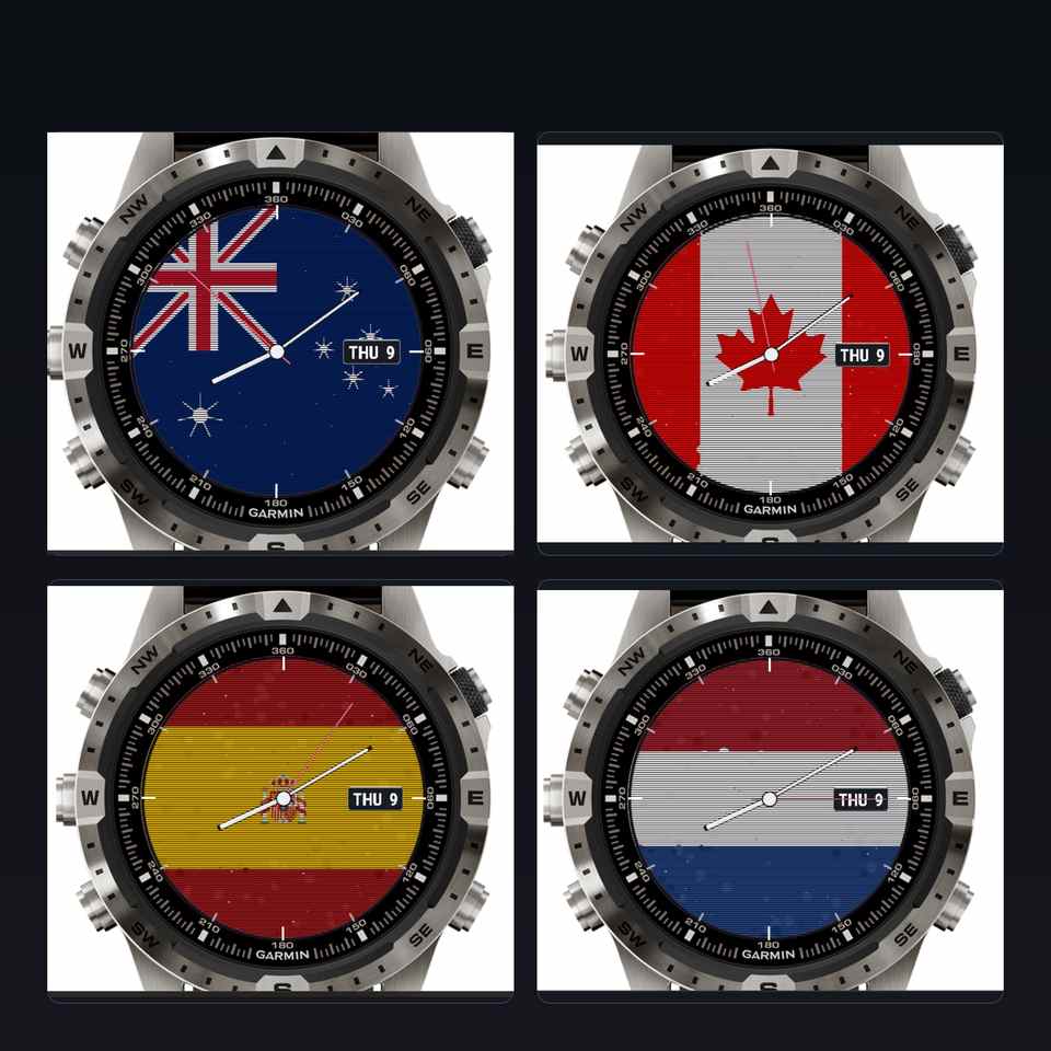 Flag Pro 2