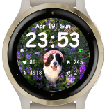 Pip 2