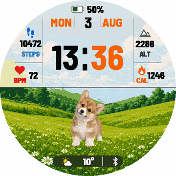Corgi dog · Screenshot 0