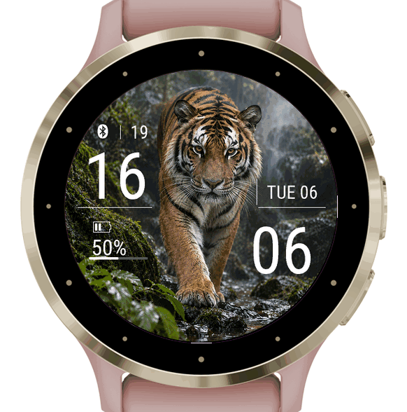 tiger · Screenshot 0