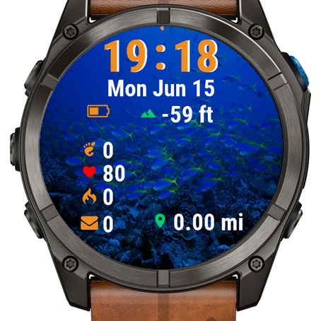 Fish Swimming Over Coral · Screenshot 1