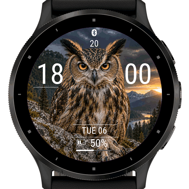 owl · Screenshot 1
