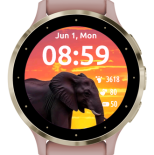African Elephant Sunset · Screenshot 2