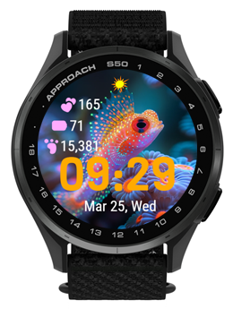 Beautiful Fish · Screenshot 1