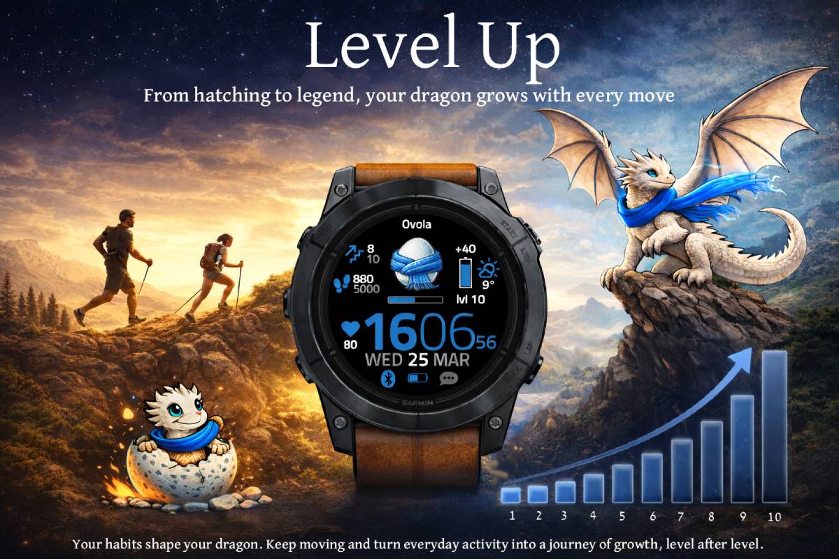 Level Up · Screenshot 0