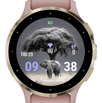 Safari Icon · Screenshot 0