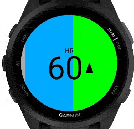 Clear Heart Rate Indicator PRO screenshot 2