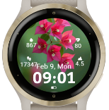 Bloom Bougainvillea HD · Screenshot 2