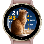 Paw 001 · Screenshot 0