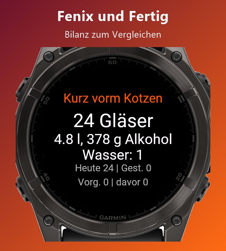 Fenix und Fertig · Screenshot 3