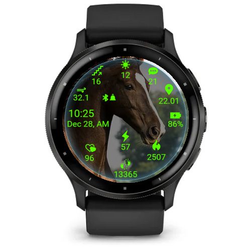 Horse05 4