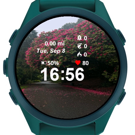 Road Pink Flowers Leaves · Screenshot 1