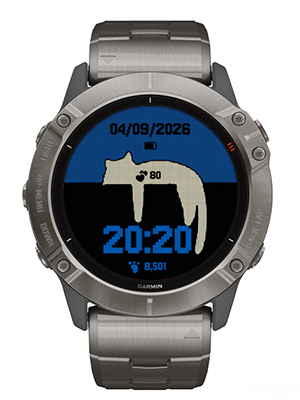 Lazy cat · Screenshot 0