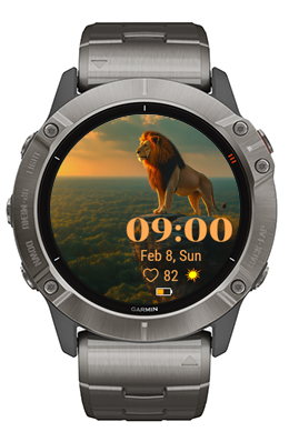 Lion Gaze · Screenshot 0
