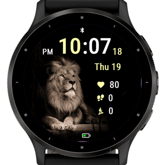 Shadow Lion · Screenshot 1