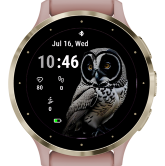 Gaze Owl · Screenshot 0