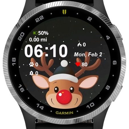 Reindeer Santa 4