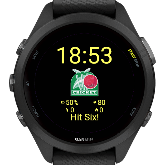 Cricket Watch Face- Customizable Sports Stats · Screenshot 3