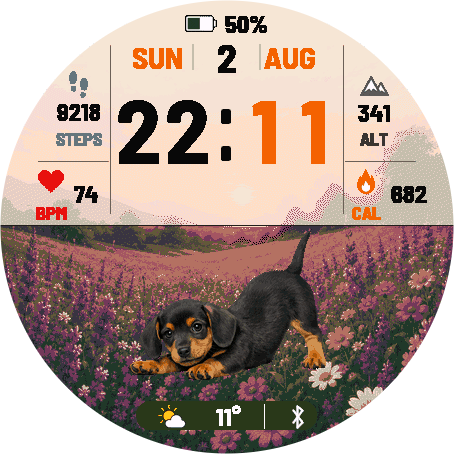 Dachshund · Screenshot 1