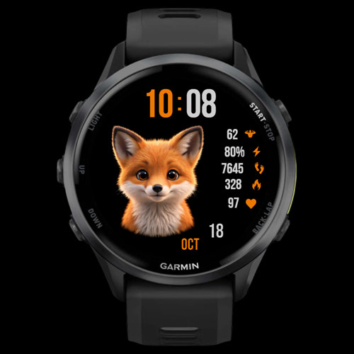 FoxCore 2