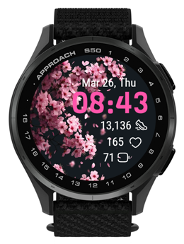 Cherry Blossoms · Screenshot 0