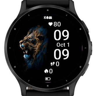 Lion H9 · Screenshot 1